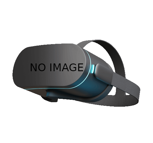 REO Speedwagon - Live In The Heartland DVD